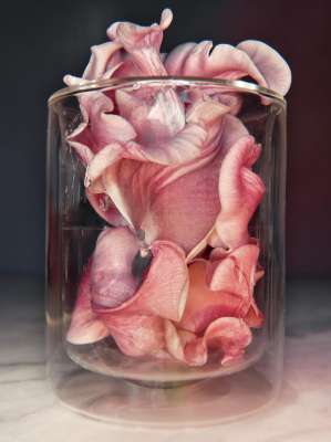 "Anamorphic Still" no 18